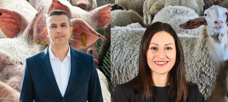 ππεκρηςπαναγιώτου