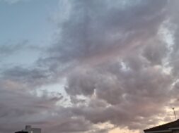 999b2107-0604-4db6-be4a-678288371f01