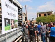Livestock farmers protest ahead of EU leaders meeting in Cyprus
