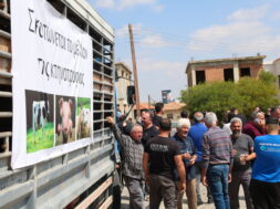 Livestock farmers protest ahead of EU leaders meeting in Cyprus