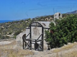 IMG_0718 (1)