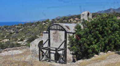 IMG_0718 (1)