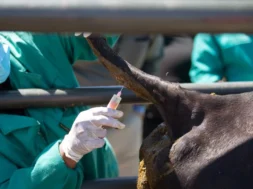 aphthodes_puretos_embolio_photo_b2e16d0bafill_1600x900