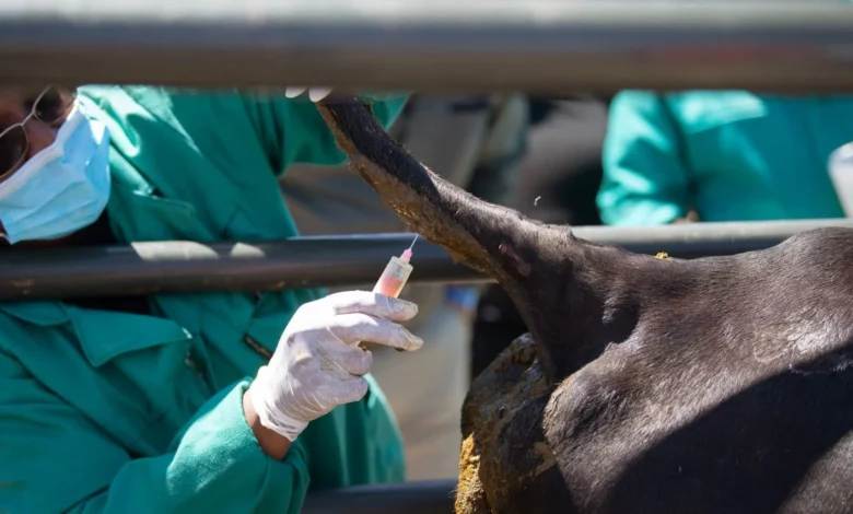 aphthodes_puretos_embolio_photo_b2e16d0bafill_1600x900