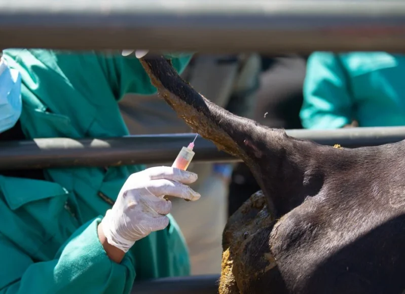 aphthodes_puretos_embolio_photo_b2e16d0bafill_1600x900