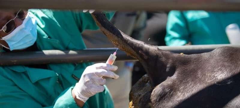 aphthodes_puretos_embolio_photo_b2e16d0bafill_1600x900