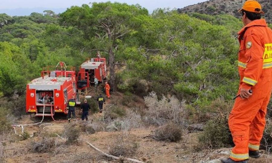 Στα άκρα η διαμάχη στο Τμήμα Δασών: 48ωρη απεργία στις 25 και 26 Μαΐου