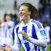 bergstrom-anorthosis