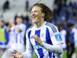 bergstrom-anorthosis