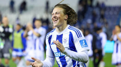 bergstrom-anorthosis