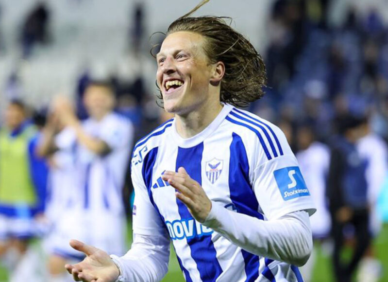 bergstrom-anorthosis