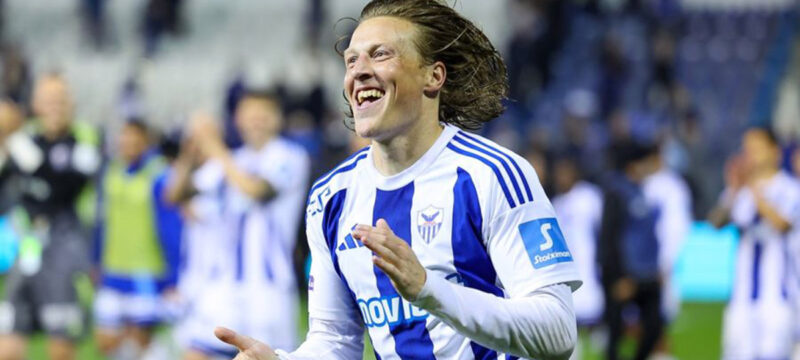 bergstrom-anorthosis