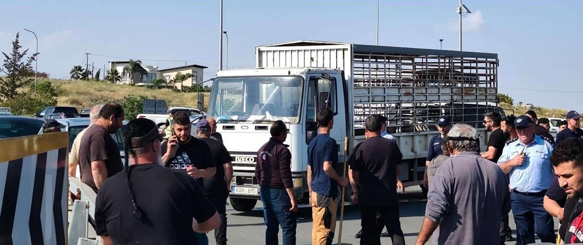 Κτηνοτρόφοι: «Μεγάλο φιάσκο οι δειγματοληψίες – Κοροϊδεύουν τον κόσμο»