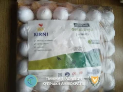 eggs