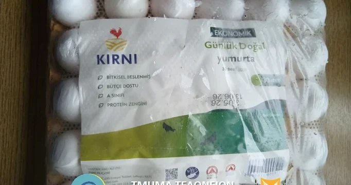 eggs