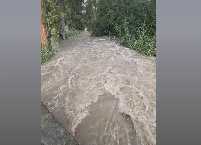 Κατέβηκε ορμητικός ο Πεδιαίος μετά τις έντονες βροχοπτώσεις (ΒΙΝΤΕΟ)