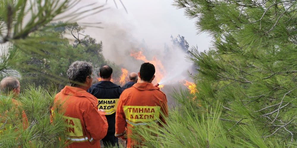 Απαγορεύεται αυστηρά το άναμμα φωτιάς σε κρατικό δάσος τονίζει το Τμήμα Δασών
