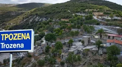 trozena-2
