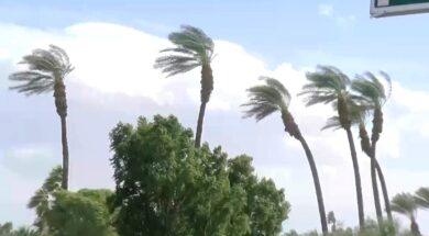 windy-
