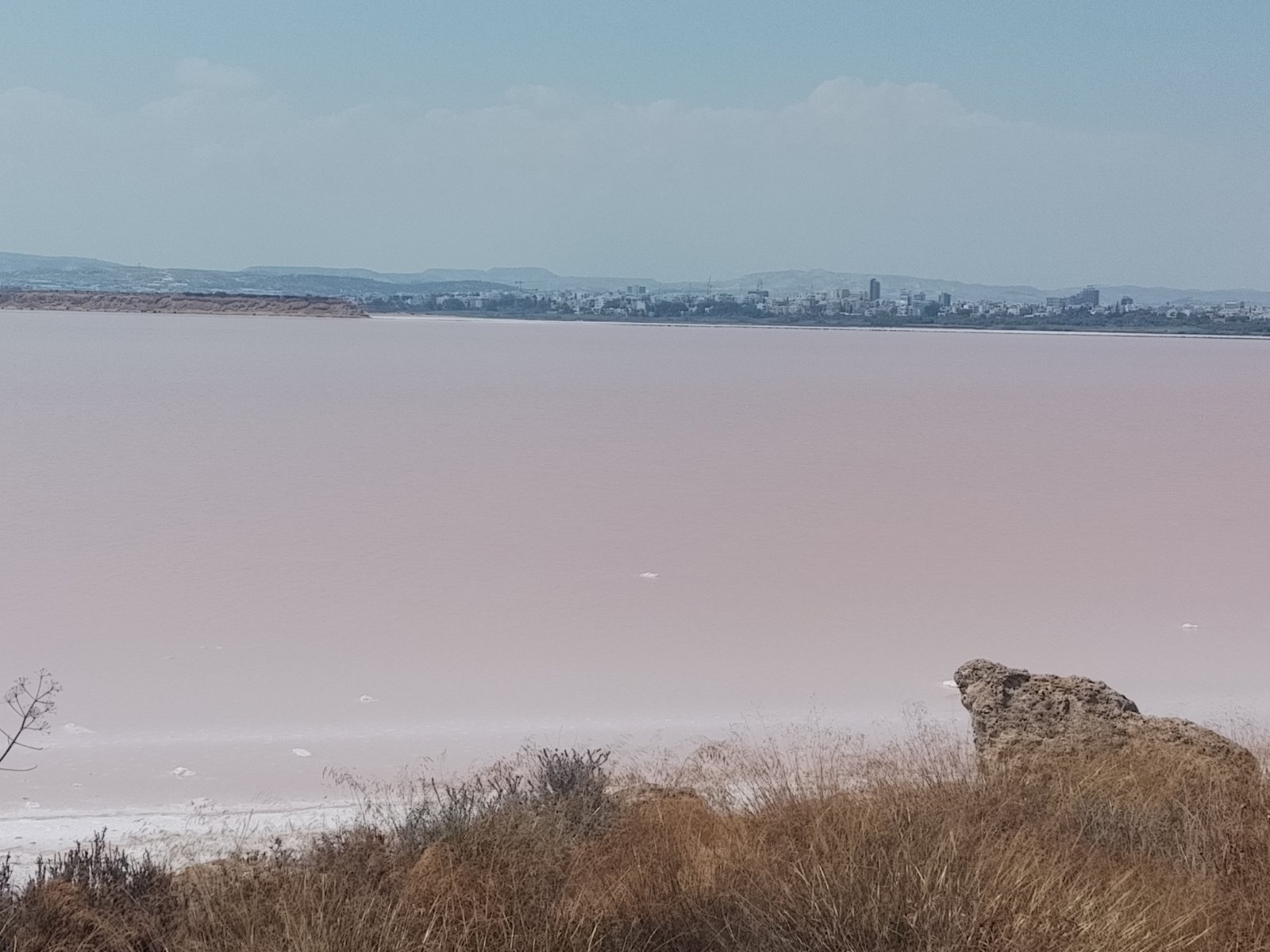 &Eta; &laquo;&kappa;ό&kappa;&kappa;&iota;&nu;&eta;&raquo; &alpha;&lambda;&upsilon;&kappa;ή &tau;&eta;&sigmaf; &Lambda;ά&rho;&nu;&alpha;&kappa;&alpha;&sigmaf; &ndash; &Epsilon;&nu;&tau;&upsilon;&pi;&omega;&sigma;&iota;&alpha;&kappa;ό &phi;&alpha;&iota;&nu;ό&mu;&epsilon;&nu;&omicron; &sigma;&tau;&omicron;&nu; &sigma;&eta;&mu;&alpha;&nu;&tau;&iota;&kappa;ό &upsilon;&delta;&rho;&omicron;&beta;&iota;ό&tau;&omicron;&pi;&omicron; &tau;&eta;&sigmaf; &Kappa;ύ&pi;&rho;&omicron;&upsilon;