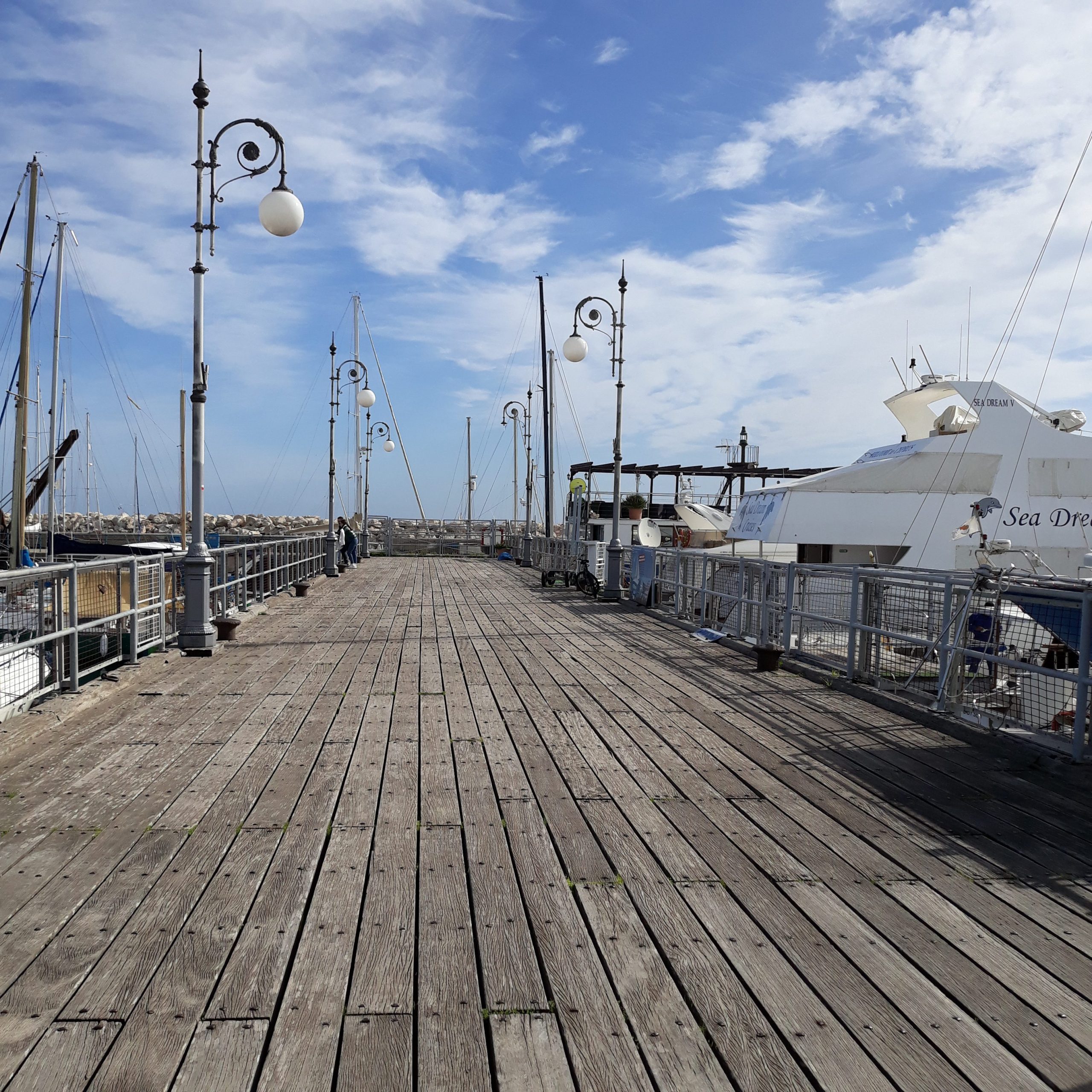 20190201_105406-scaled-1