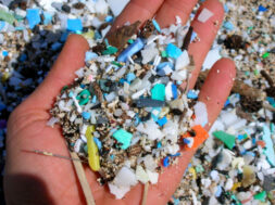 New-EU-legislation-enters-into-force-to-reduce-microplastic-pollution