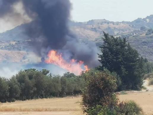 Υπό πλήρη έλεγχο δασική πυρκαγιά στην κοινότητα Αναρίτα