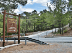 platania-kataskinotikos-xoros-768×483