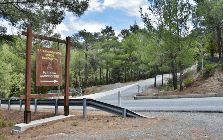platania-kataskinotikos-xoros-768×483
