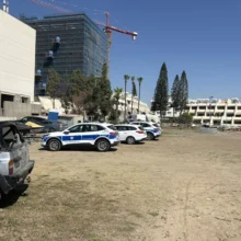 yam-sillipseis-larnaca-1