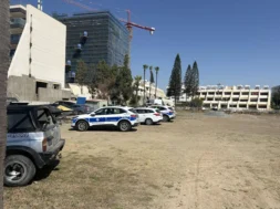 yam-sillipseis-larnaca-1