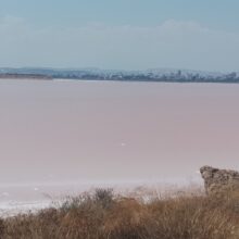 ΚΟΚΚΙΝΗ ΑΛΥΚΗ 1