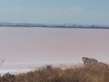 ΚΟΚΚΙΝΗ ΑΛΥΚΗ 1