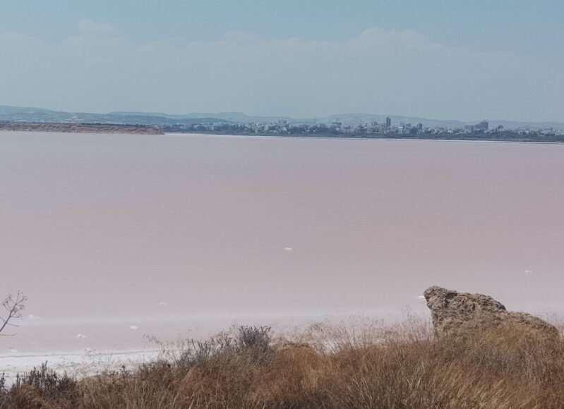 ΚΟΚΚΙΝΗ ΑΛΥΚΗ 1