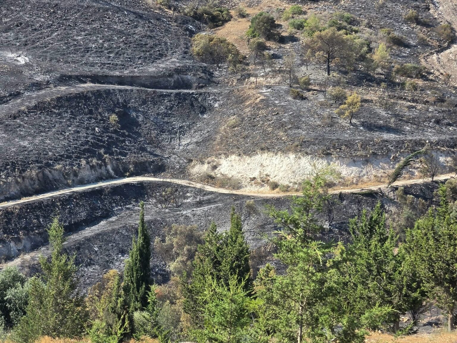 &Epsilon;&iota;&kappa;ό&nu;&epsilon;&sigmaf; &kappa;&alpha;&tau;&alpha;&sigma;&tau;&rho;&omicron;&phi;ή&sigmaf; &sigma;&tau;&iota;&sigmaf; &beta;&omicron;&upsilon;&nu;&omicron;&pi;&lambda;&alpha;&gamma;&iota;έ&sigmaf; &mu;&epsilon;&tau;&alpha;&xi;ύ &Alpha;&gamma;. Ά&nu;&nu;&alpha;&sigmaf; &kappa;&alpha;&iota; &Psi;&epsilon;&upsilon;&delta;ά &ndash; &Tau;&mu;ή&mu;&alpha; &Delta;&alpha;&sigma;ώ&nu;: &Kappa;ά&eta;&kappa;&alpha;&nu; 120 &epsilon;&kappa;&tau;ά&rho;&iota;&alpha; &mu;&epsilon; &pi;&epsilon;ύ&kappa;&alpha;, &epsilon;