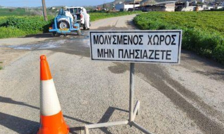 Υπουργικό: Σχέδιο €1,65 εκατ. για στήριξη των χοιροτρόφων λόγω αφθώδους πυρετού
