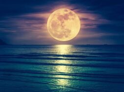 images (12)
