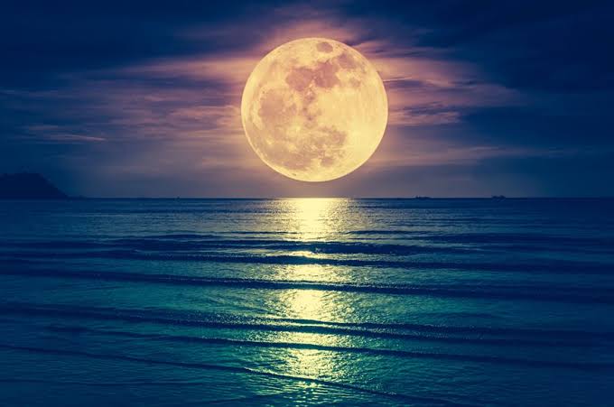 images (12)