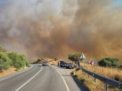 pirkagia-fires-limassol