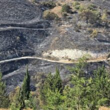 ΠΥΡΚΑΓΙΑ – Η ΕΠΟΜΕΝΗ ΜΕΡΑ 1