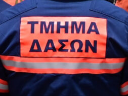 τμημα δασων