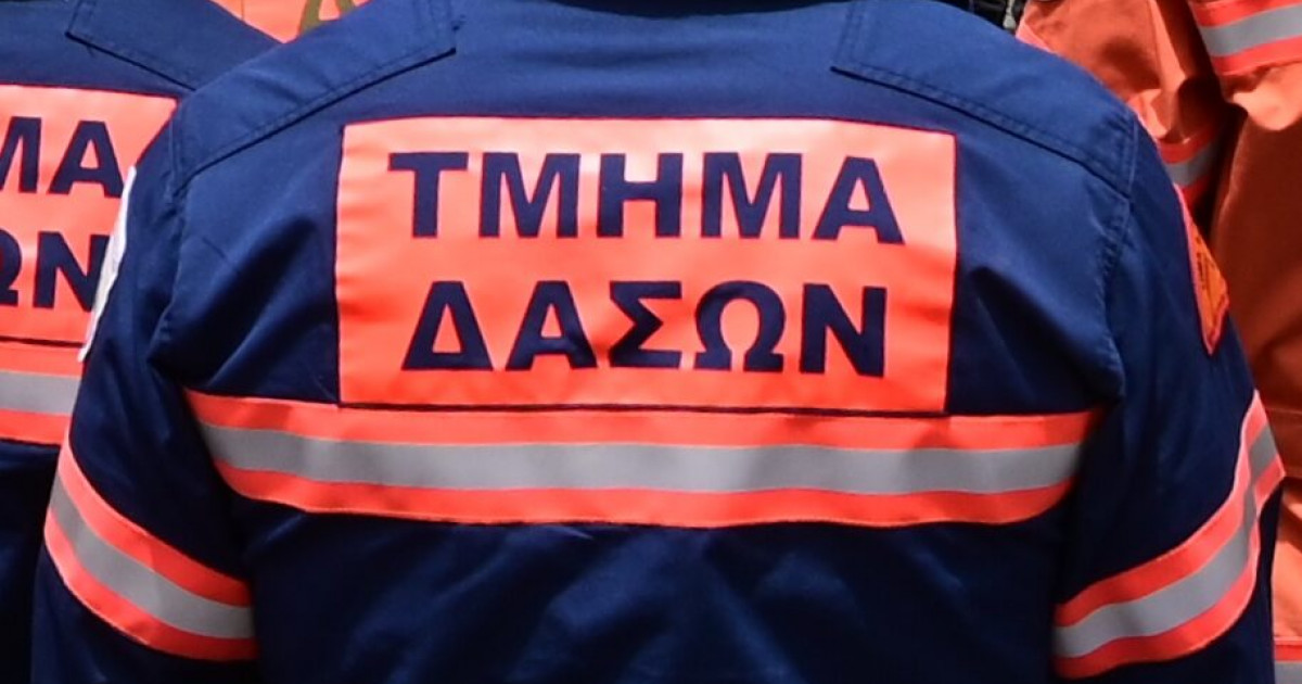 τμημα δασων