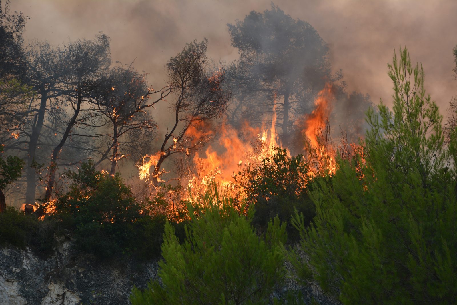 Πυρκαγιά σε δασική έκταση στη Ζάκυνθο, ενεργοποιήθηκε το 112