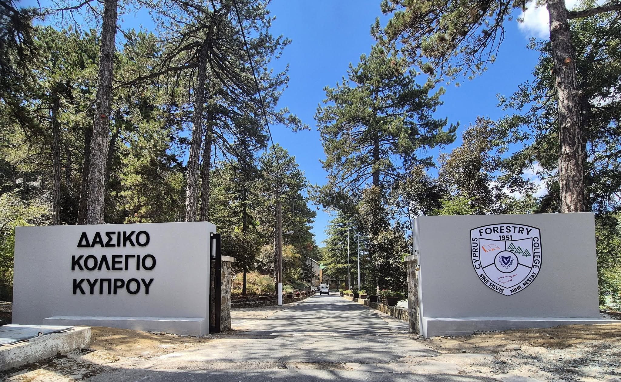 Ειδική διαδικασία εισδοχής αποφοίτων Γυμνασίου Ριζοκαρπάσου στο Δασικό Κολέγιο