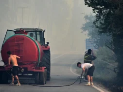 AP26225567766998