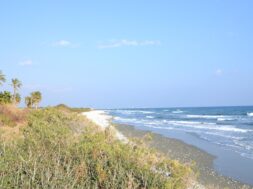 beach_03
