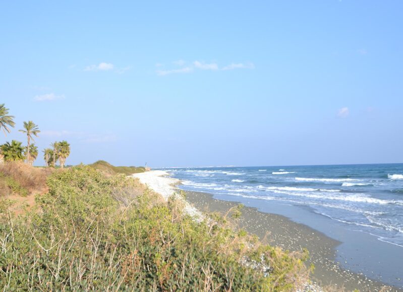beach_03
