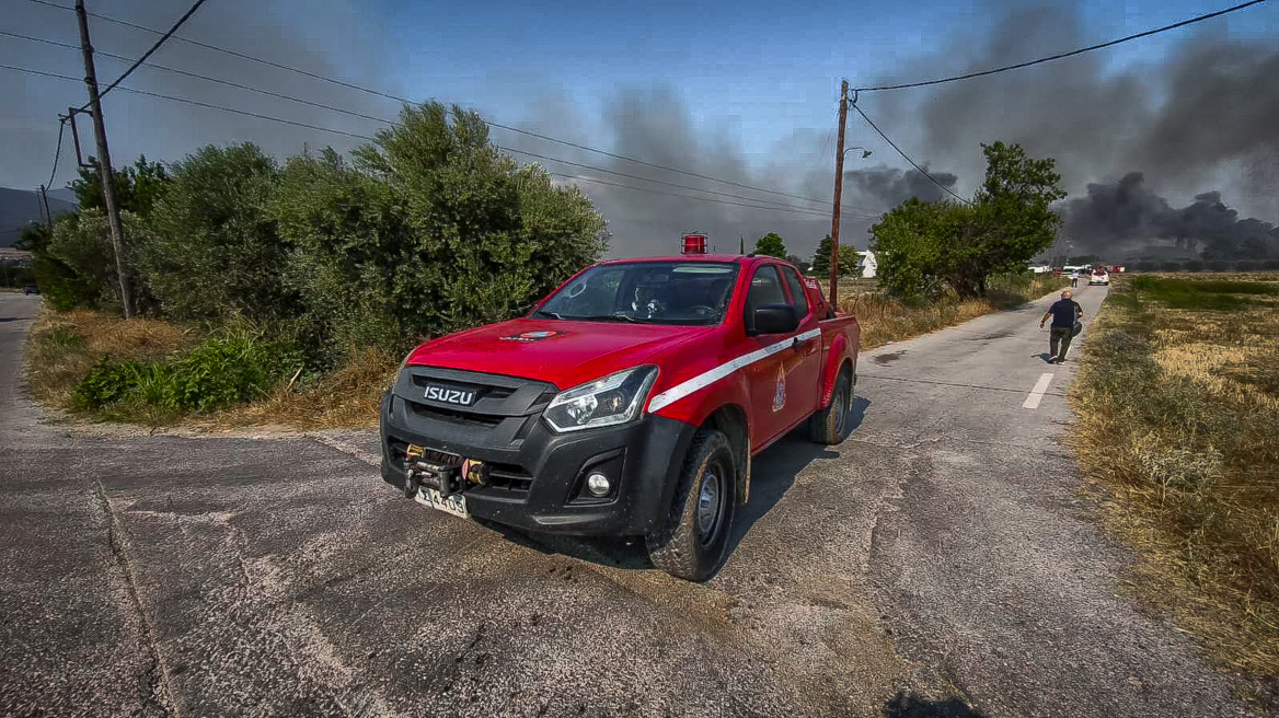 Σε κατάσταση Red Code η Ελλάδα υπό τον κίνδυνο πυρκαγιών – Ποιες περιοχές φοβάται περισσότερο η Επιτροπή Εκτίμησης Κινδύνου