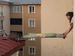 ghddd