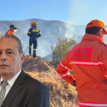 palmas_pirkagia_pedio_volis